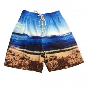MENS BOARDSHORT